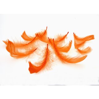 Federn Orange gefärbt 15g ca. 270 Stück Deko 5-10cm